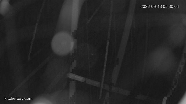 time-lapse frame, kitchelbay.com webcam