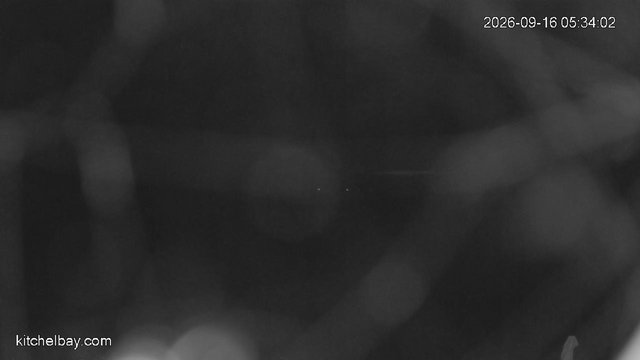 time-lapse frame, kitchelbay.com webcam