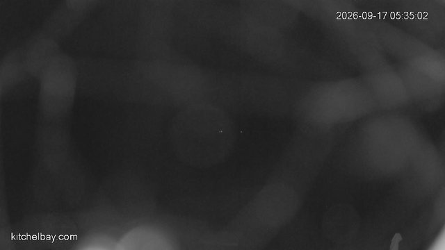 time-lapse frame, kitchelbay.com webcam