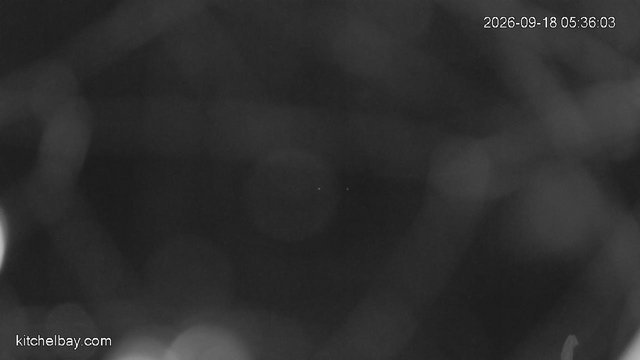 time-lapse frame, kitchelbay.com webcam