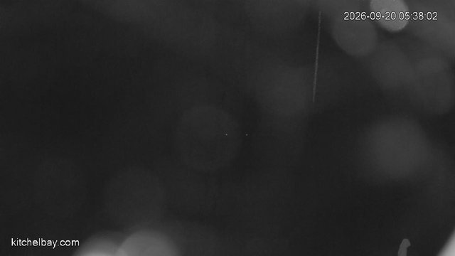 time-lapse frame, kitchelbay.com webcam