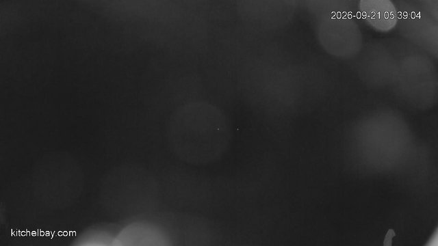 time-lapse frame, kitchelbay.com webcam