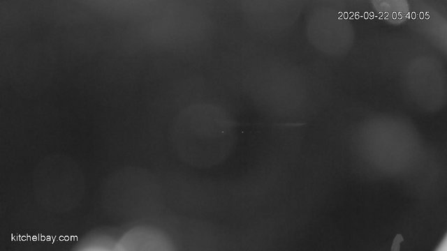 time-lapse frame, kitchelbay.com webcam