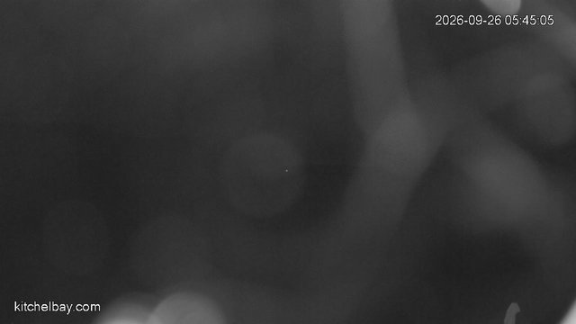 time-lapse frame, kitchelbay.com webcam