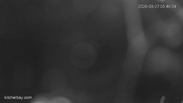 time-lapse frame, kitchelbay.com webcam