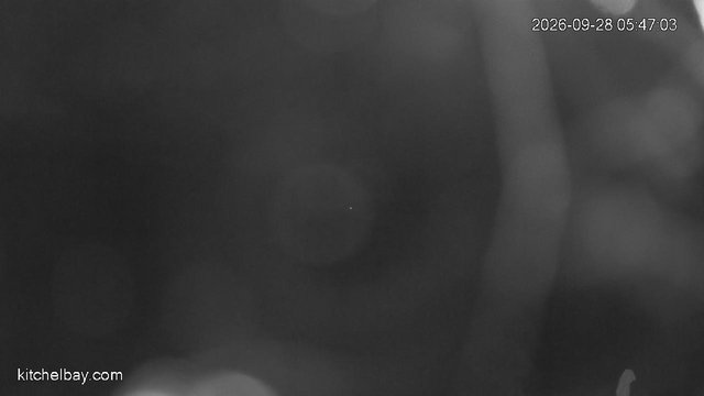 time-lapse frame, kitchelbay.com webcam