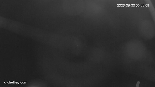 time-lapse frame, kitchelbay.com webcam