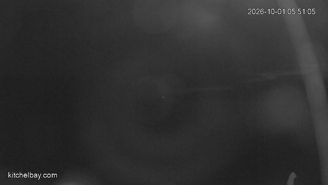 time-lapse frame, kitchelbay.com webcam