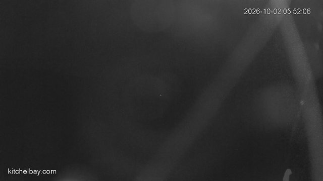time-lapse frame, kitchelbay.com webcam
