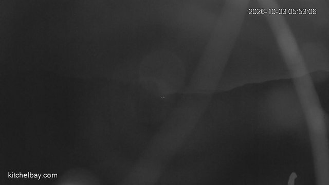 time-lapse frame, kitchelbay.com webcam