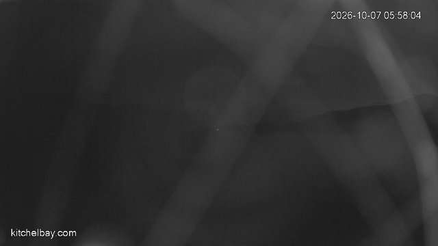 time-lapse frame, kitchelbay.com webcam