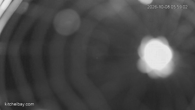 time-lapse frame, kitchelbay.com webcam