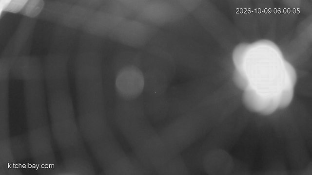 time-lapse frame, kitchelbay.com webcam