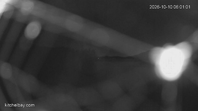 time-lapse frame, kitchelbay.com webcam