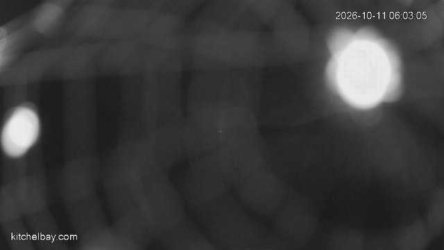 time-lapse frame, kitchelbay.com webcam