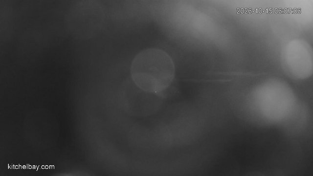 time-lapse frame, kitchelbay.com webcam