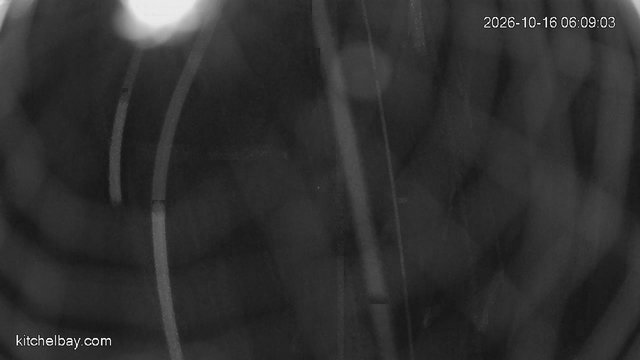 time-lapse frame, kitchelbay.com webcam