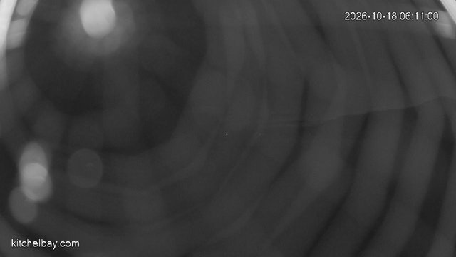 time-lapse frame, kitchelbay.com webcam