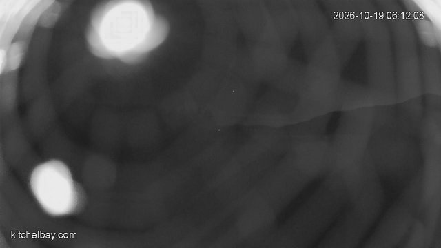 time-lapse frame, kitchelbay.com webcam