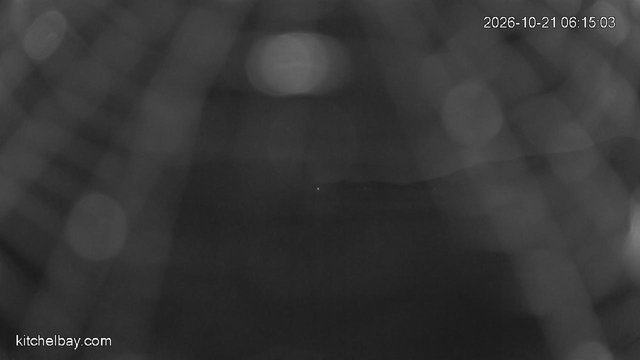 time-lapse frame, kitchelbay.com webcam