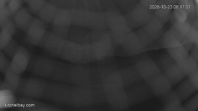 time-lapse frame, kitchelbay.com webcam