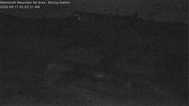 Mammoth McCoy animated GIF