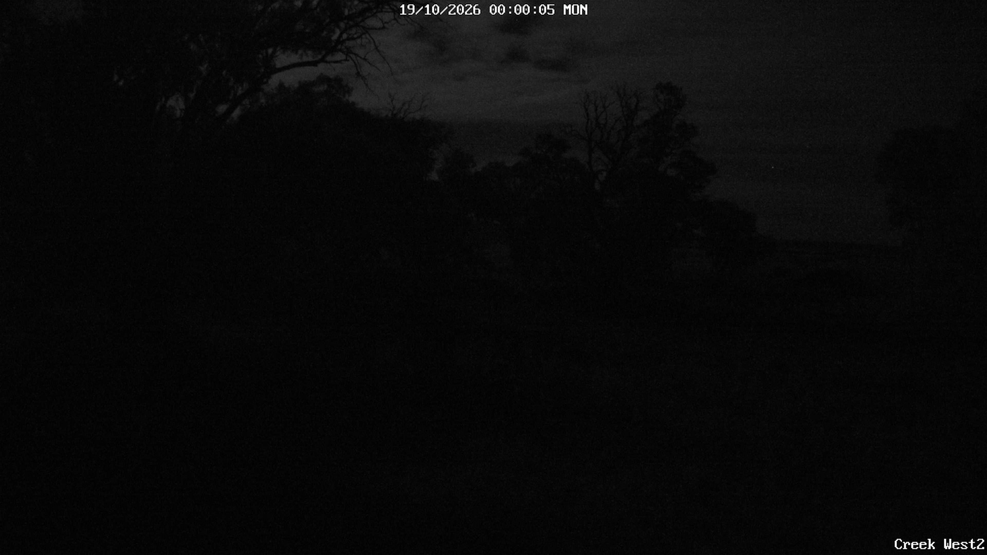 time-lapse frame, CreekCam West webcam