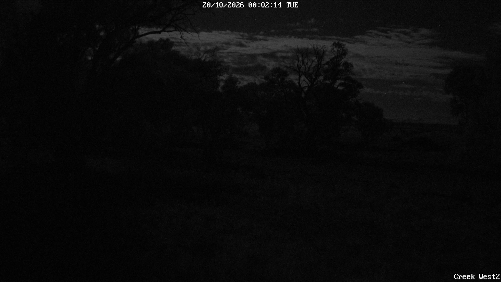 time-lapse frame, CreekCam West webcam