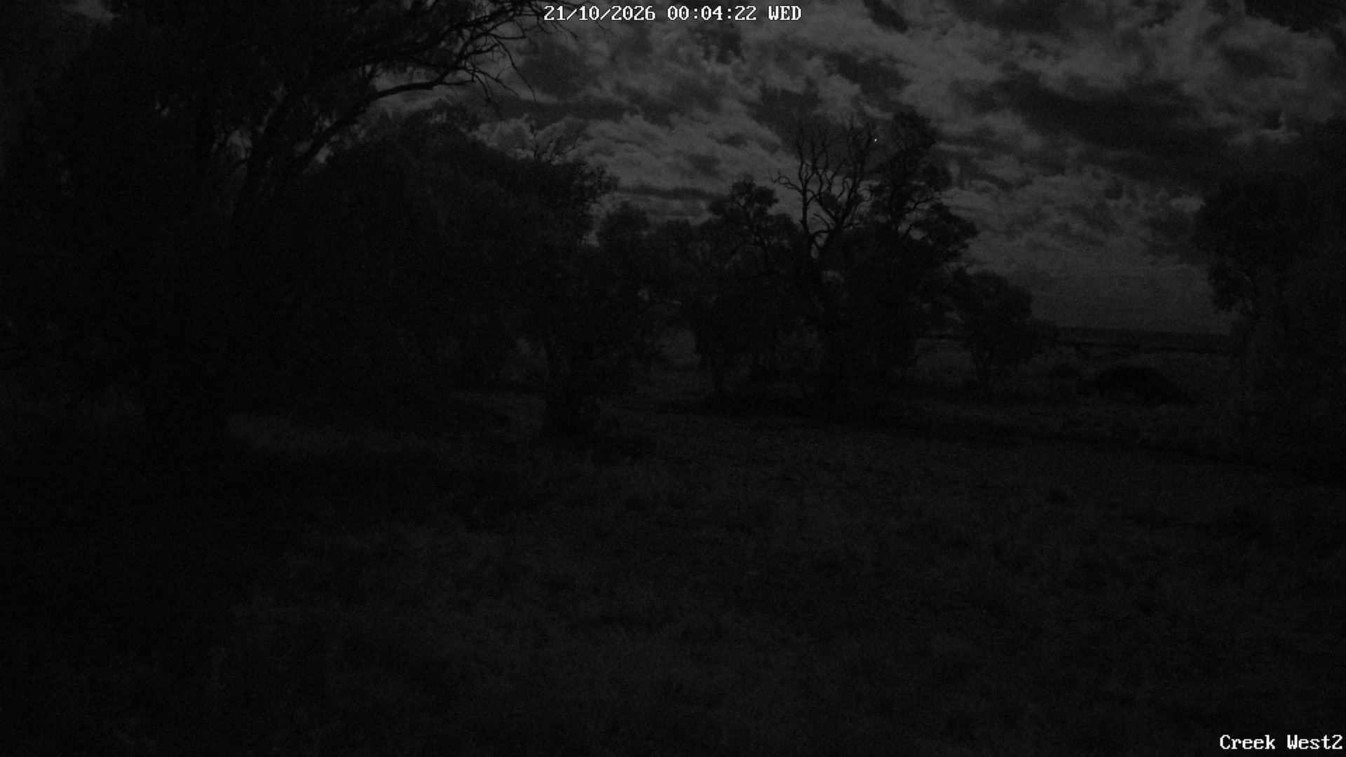 time-lapse frame, CreekCam West webcam