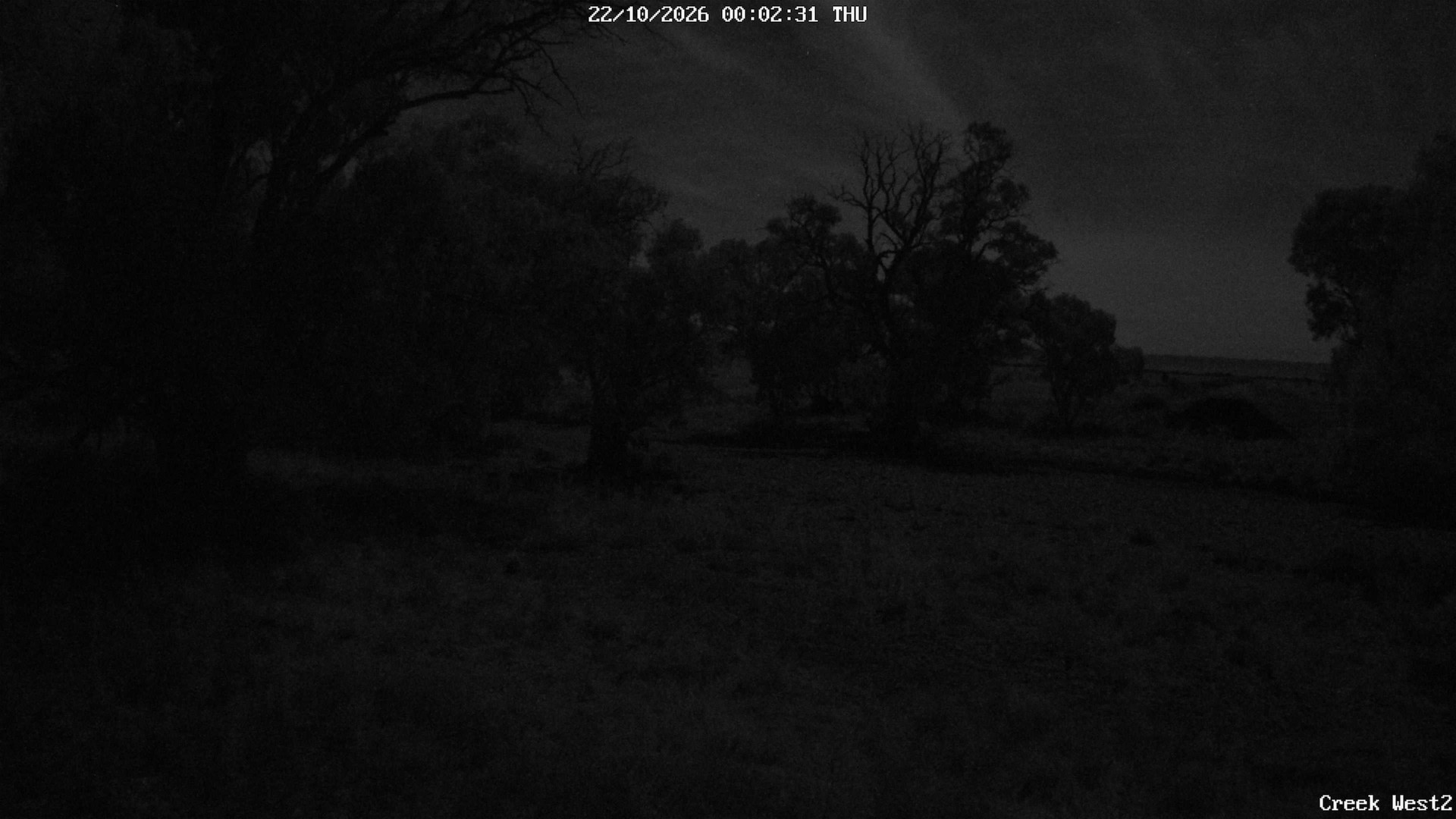 time-lapse frame, CreekCam West webcam