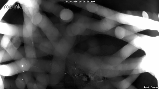 time-lapse frame, East webcam