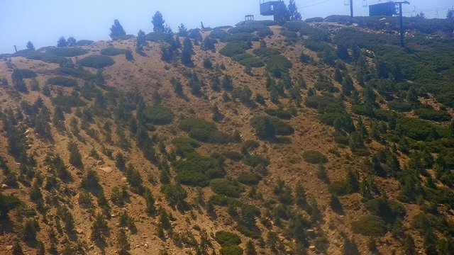 view from Snow Valley Peak Cam on 2026-09-22