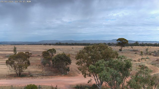 time-lapse frame, West webcam