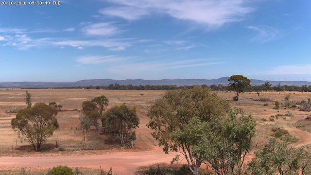 time-lapse frame, West webcam