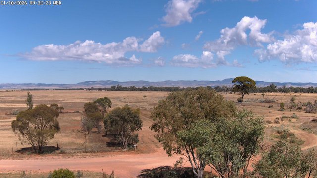 time-lapse frame, West webcam