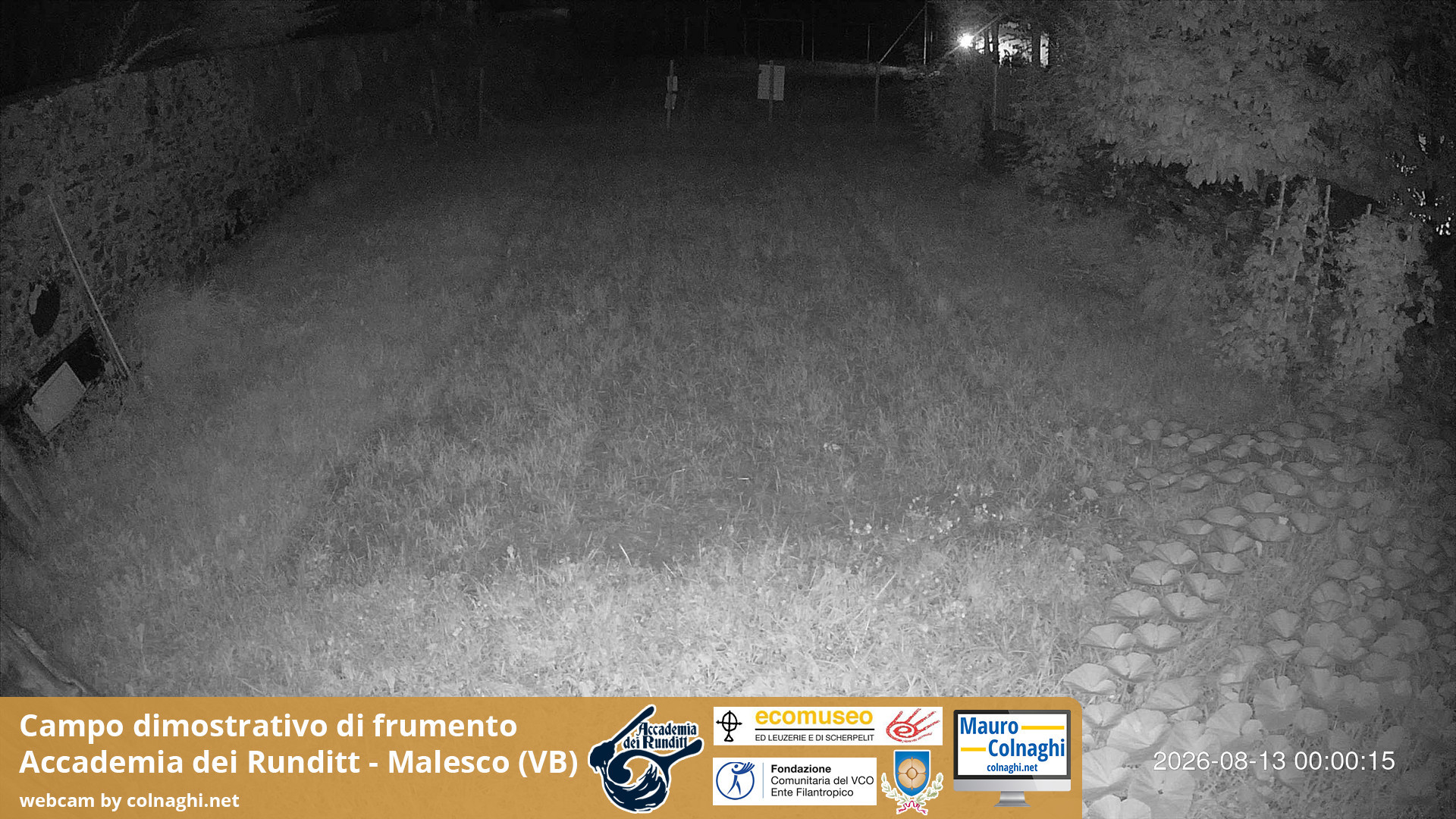 time-lapse frame, Grano webcam
