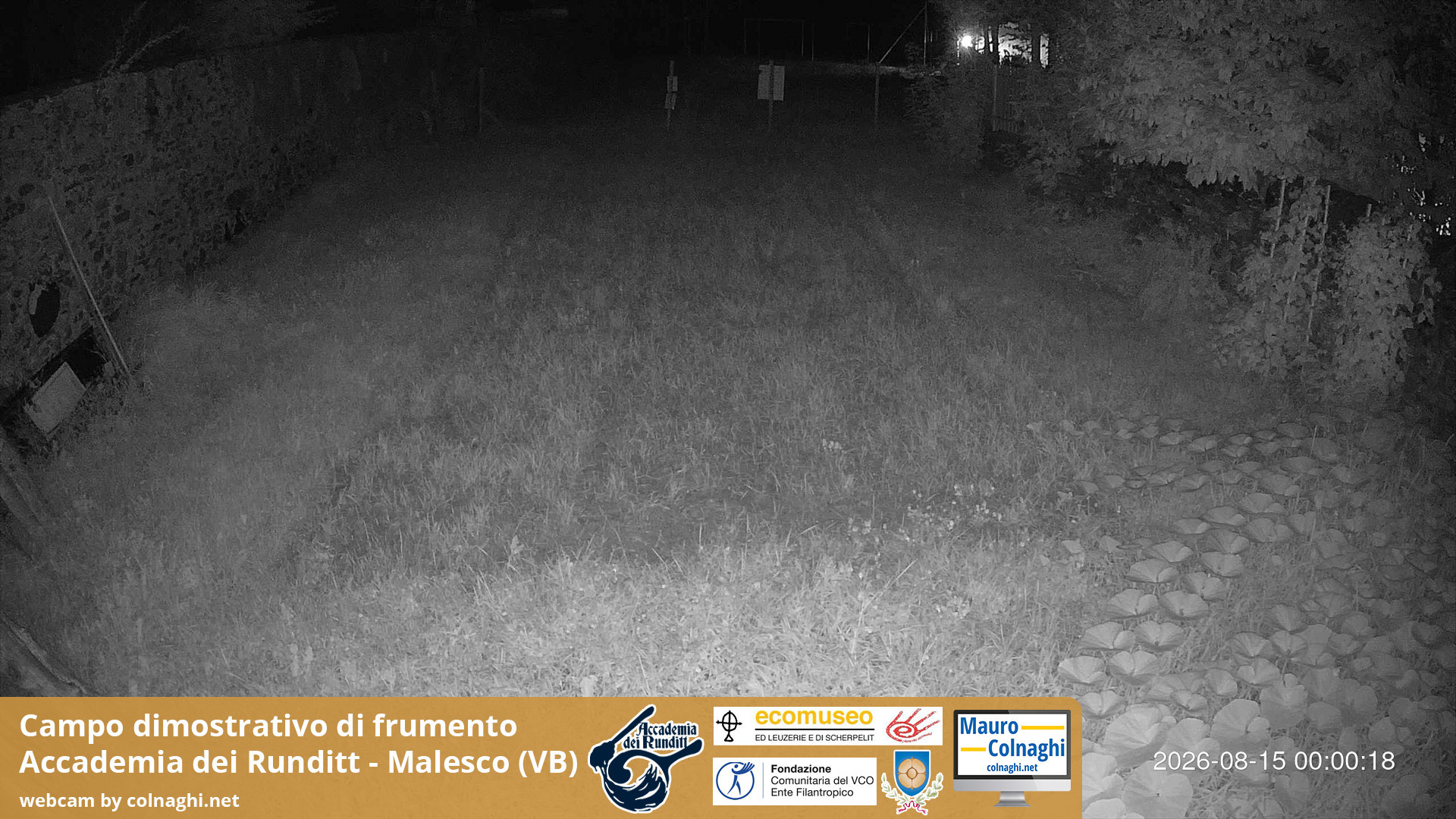 time-lapse frame, Grano webcam