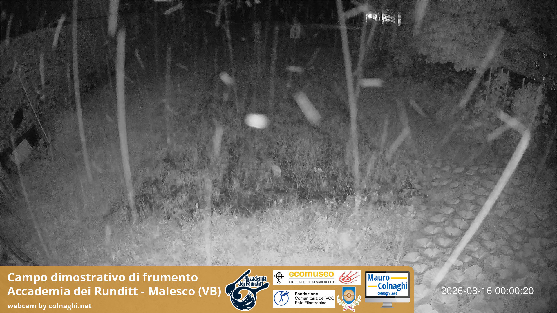 time-lapse frame, Grano webcam