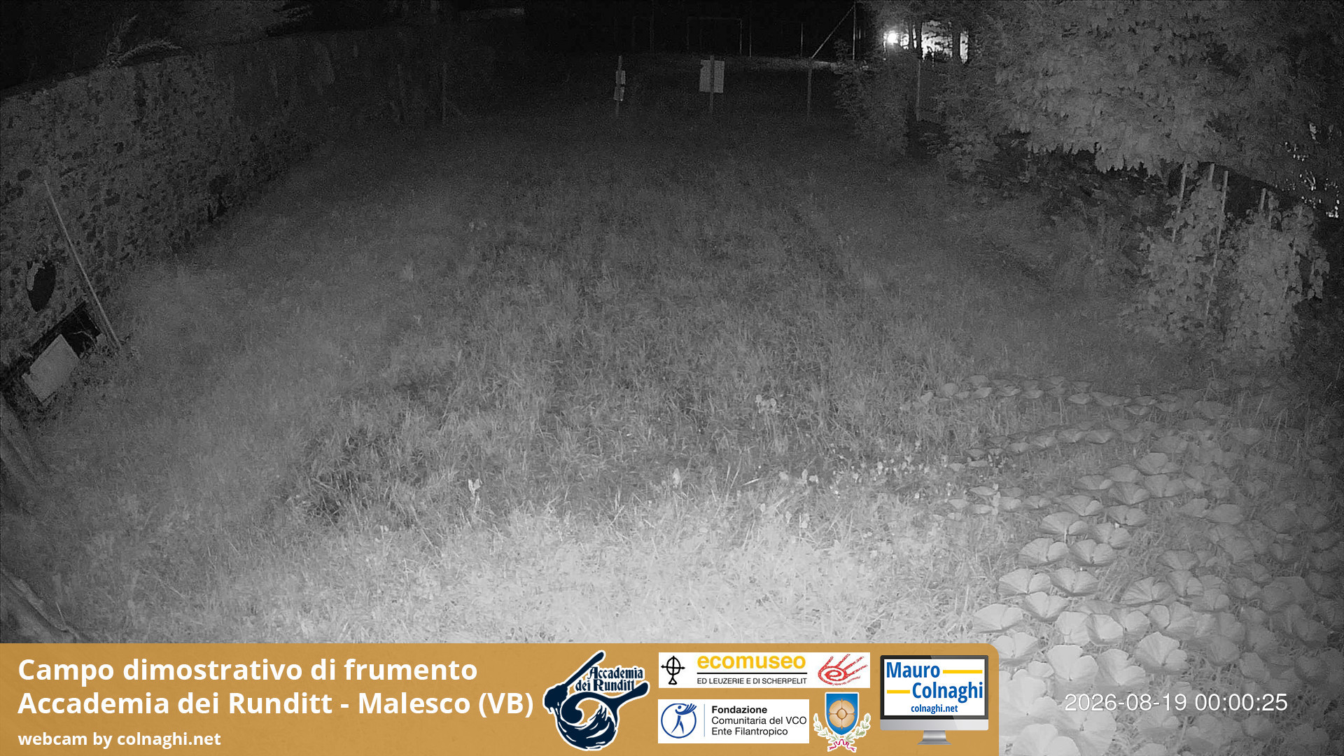 time-lapse frame, Grano webcam