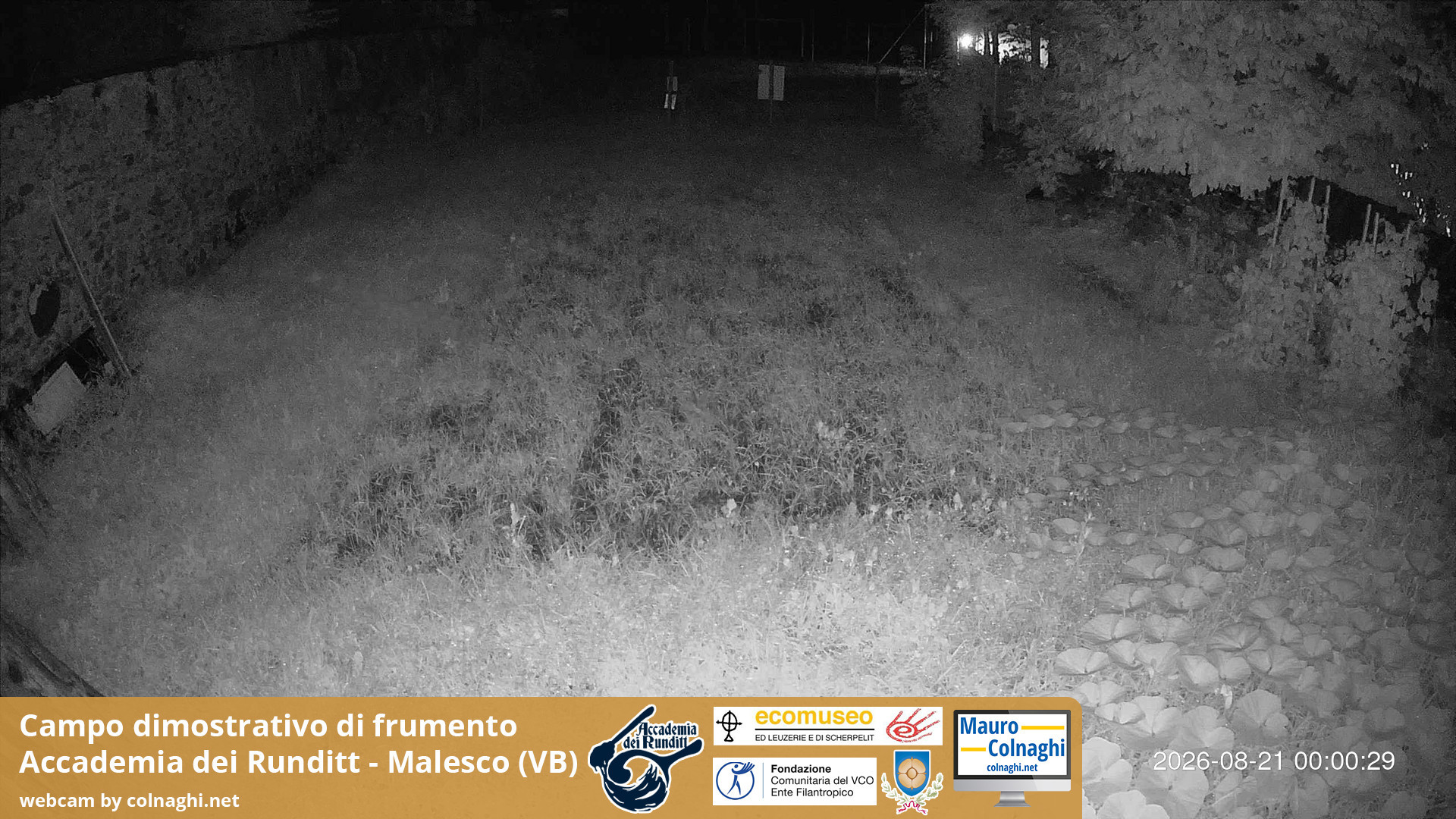 time-lapse frame, Grano webcam