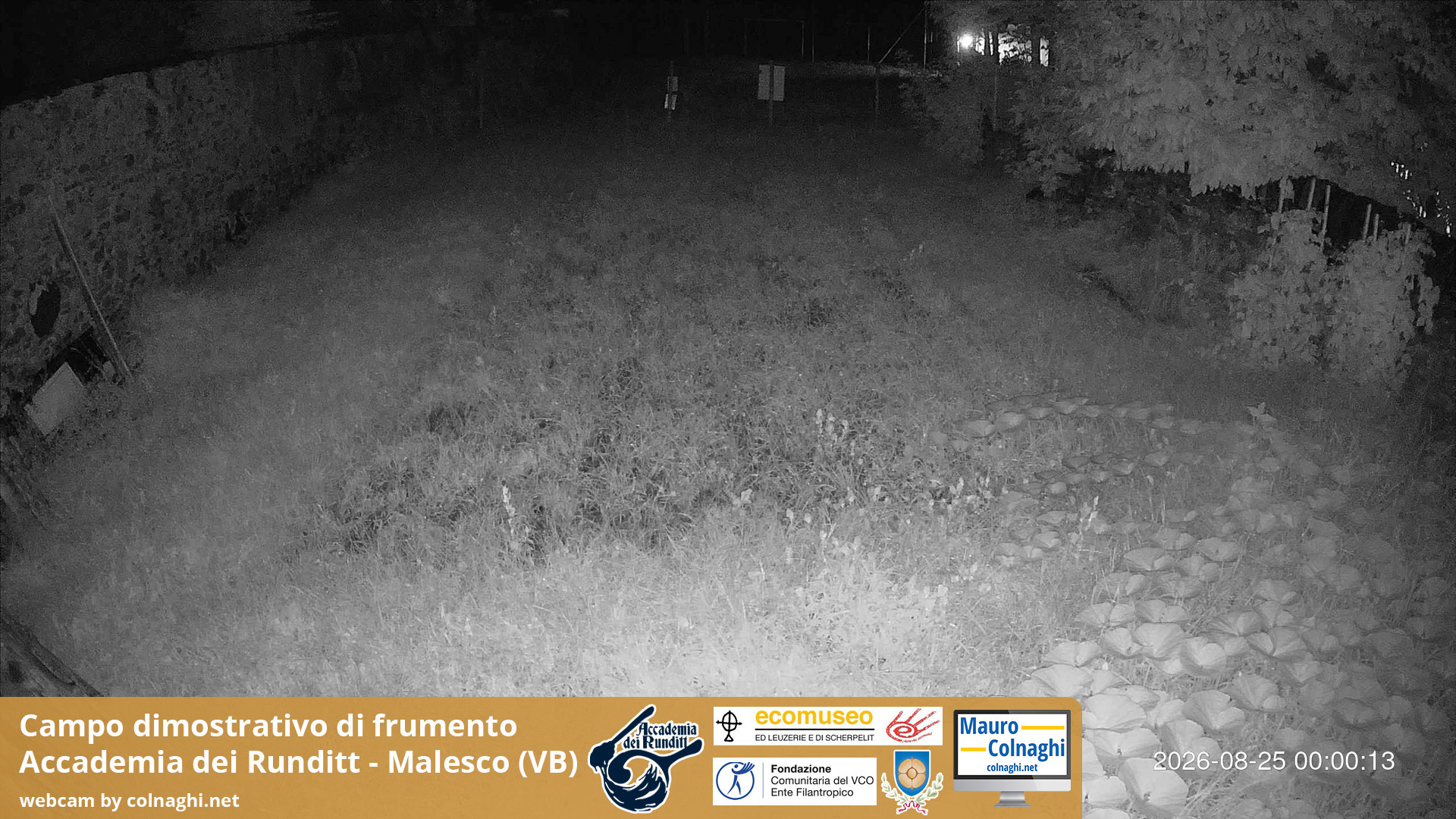 time-lapse frame, Grano webcam