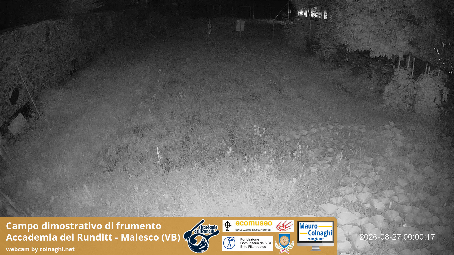 time-lapse frame, Grano webcam