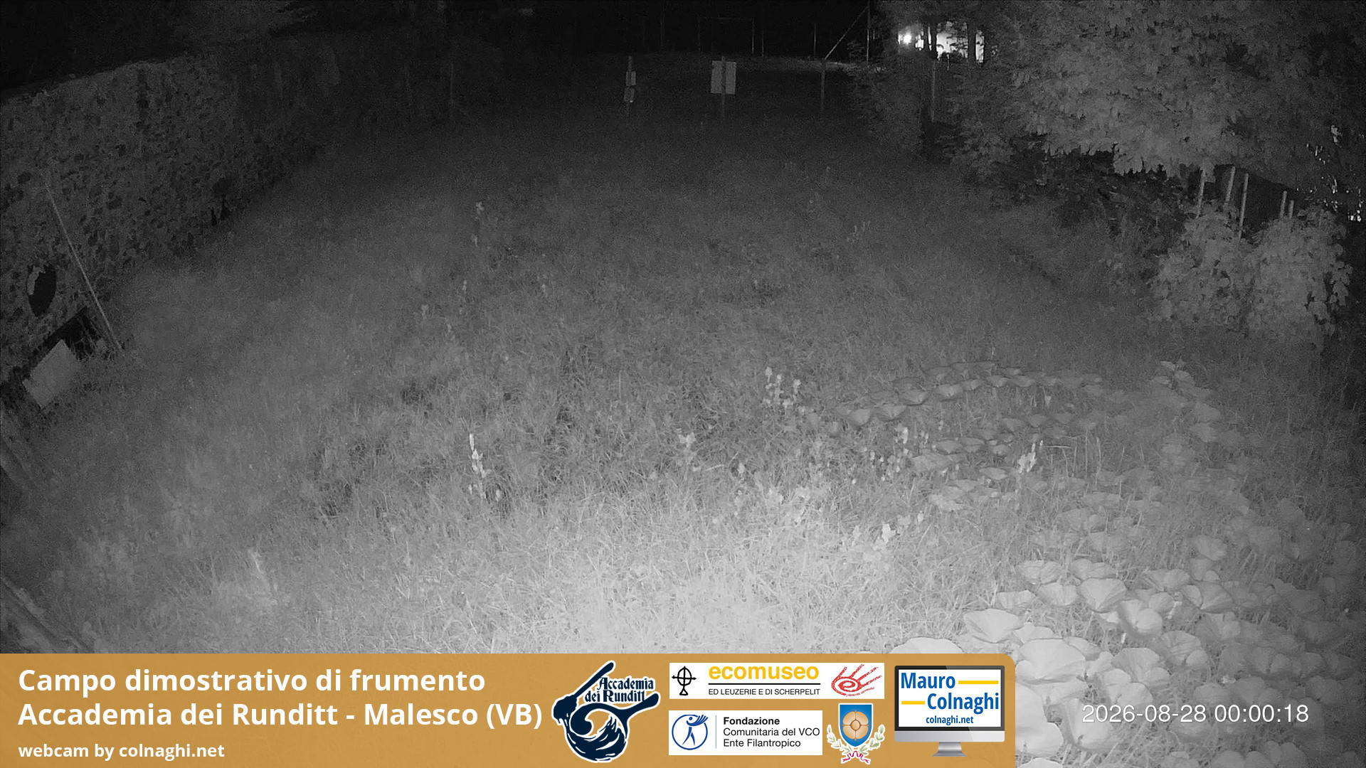 time-lapse frame, Grano webcam