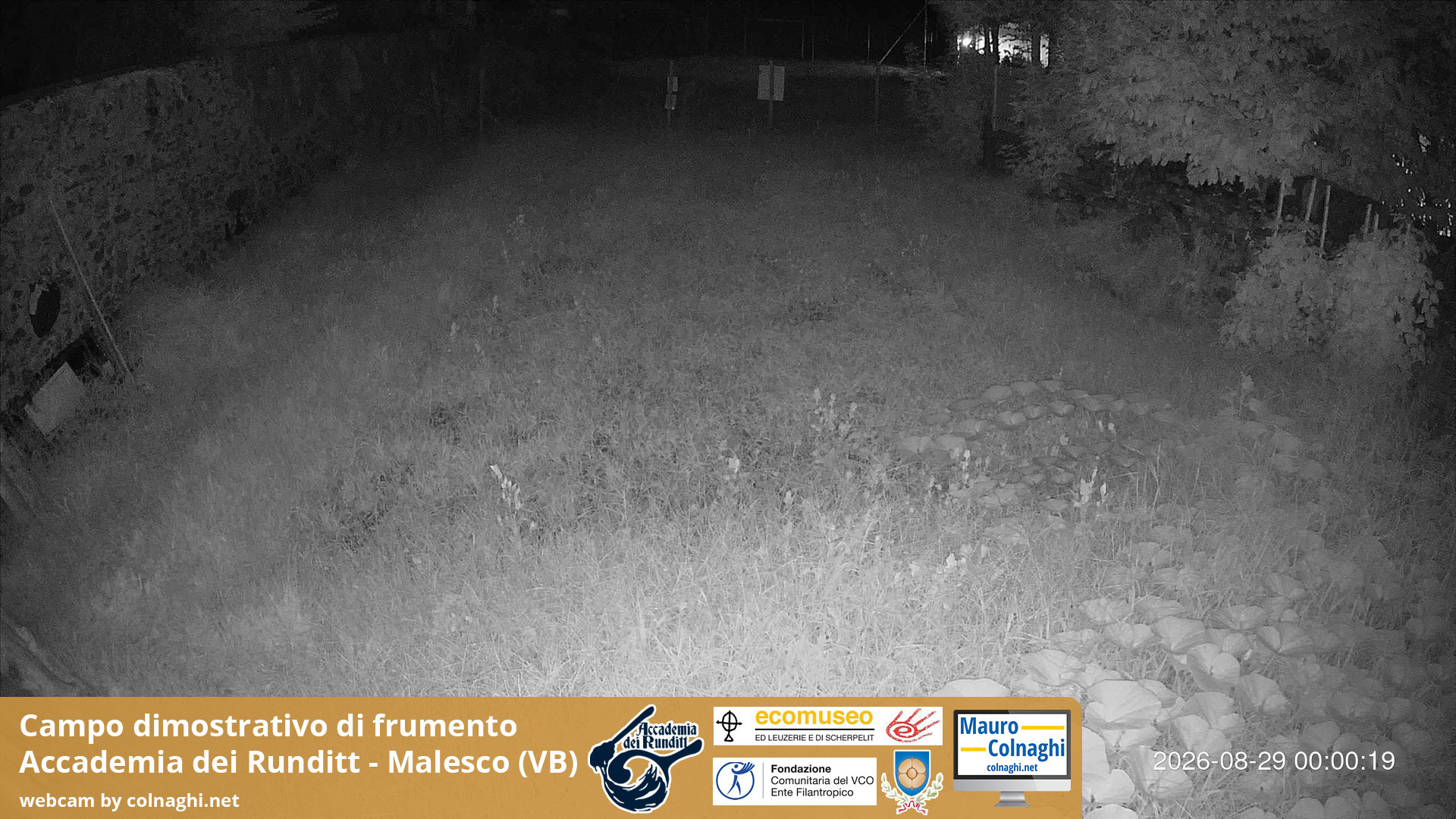 time-lapse frame, Grano webcam