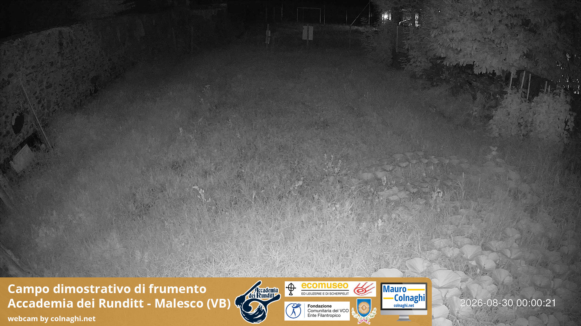 time-lapse frame, Grano webcam