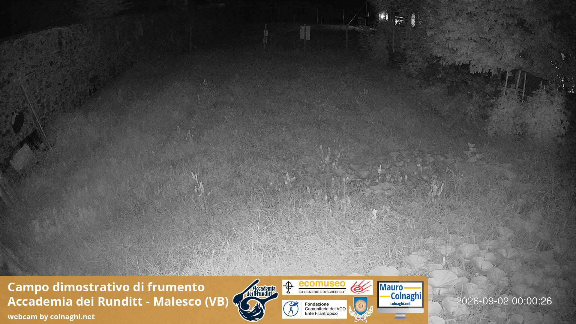 time-lapse frame, Grano webcam