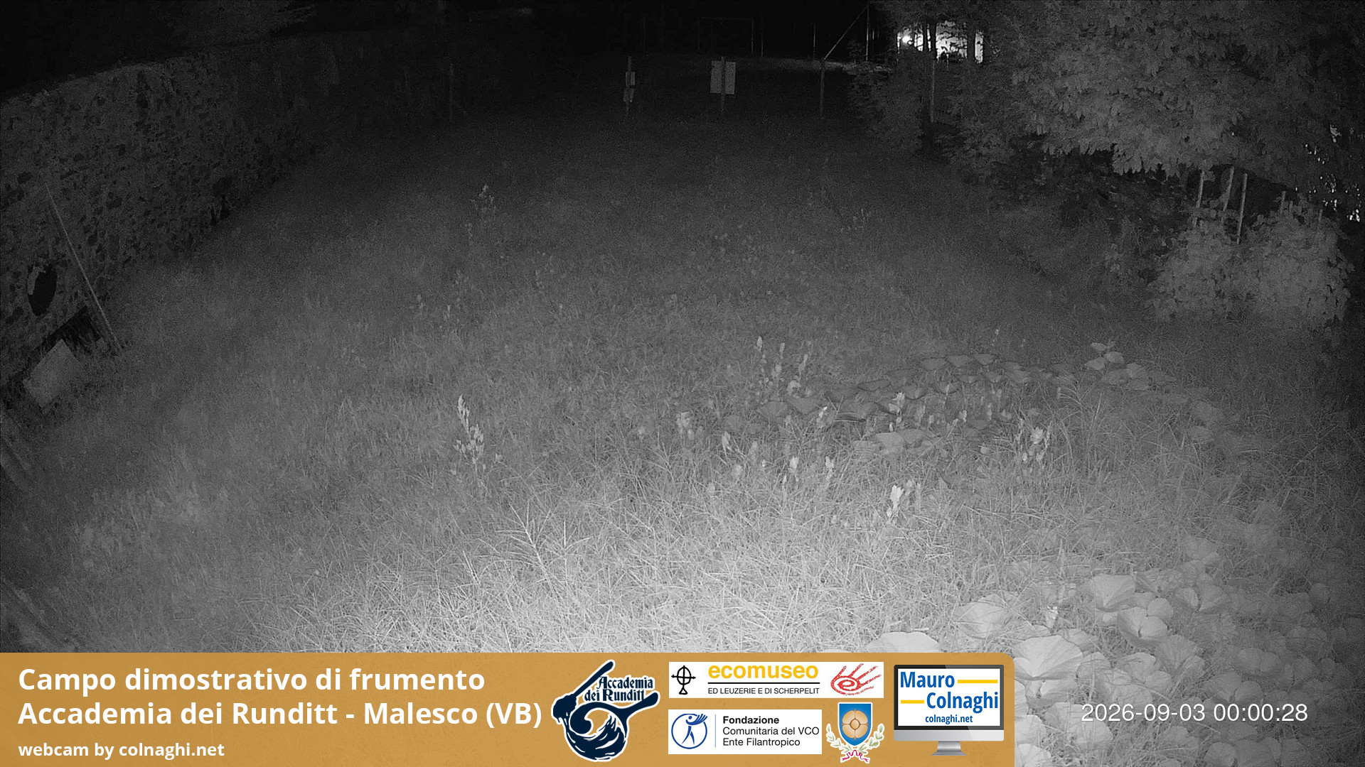 time-lapse frame, Grano webcam