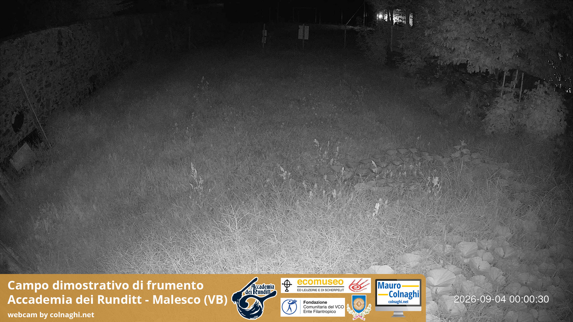 time-lapse frame, Grano webcam