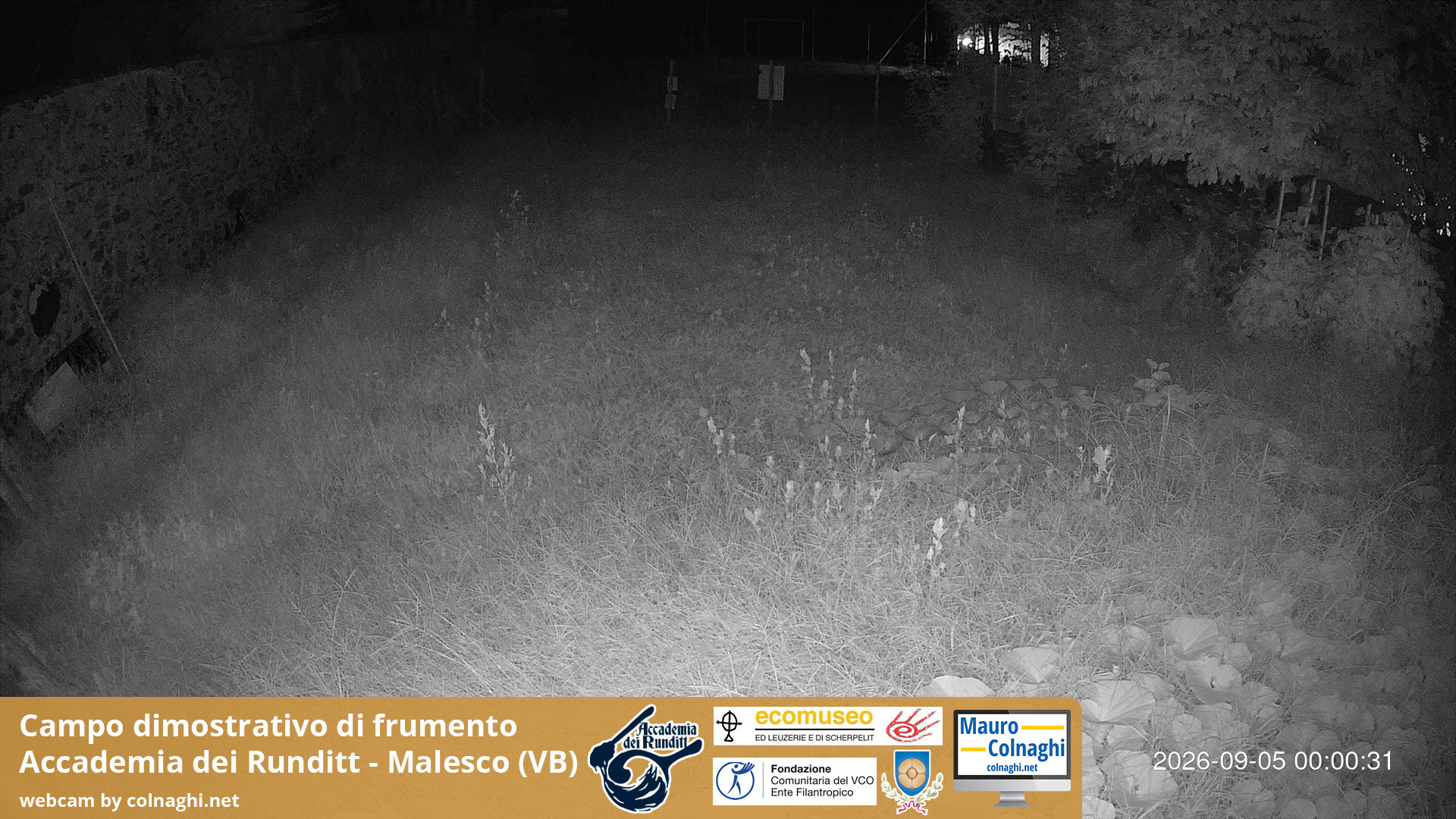 time-lapse frame, Grano webcam
