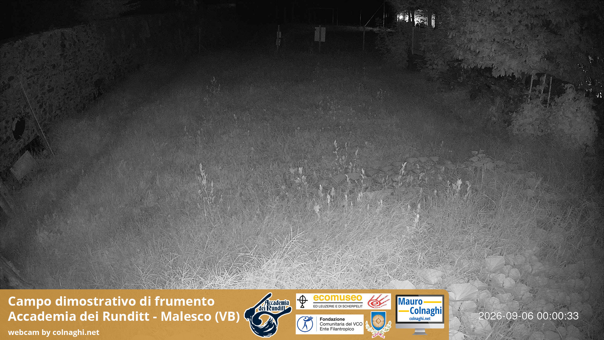 time-lapse frame, Grano webcam